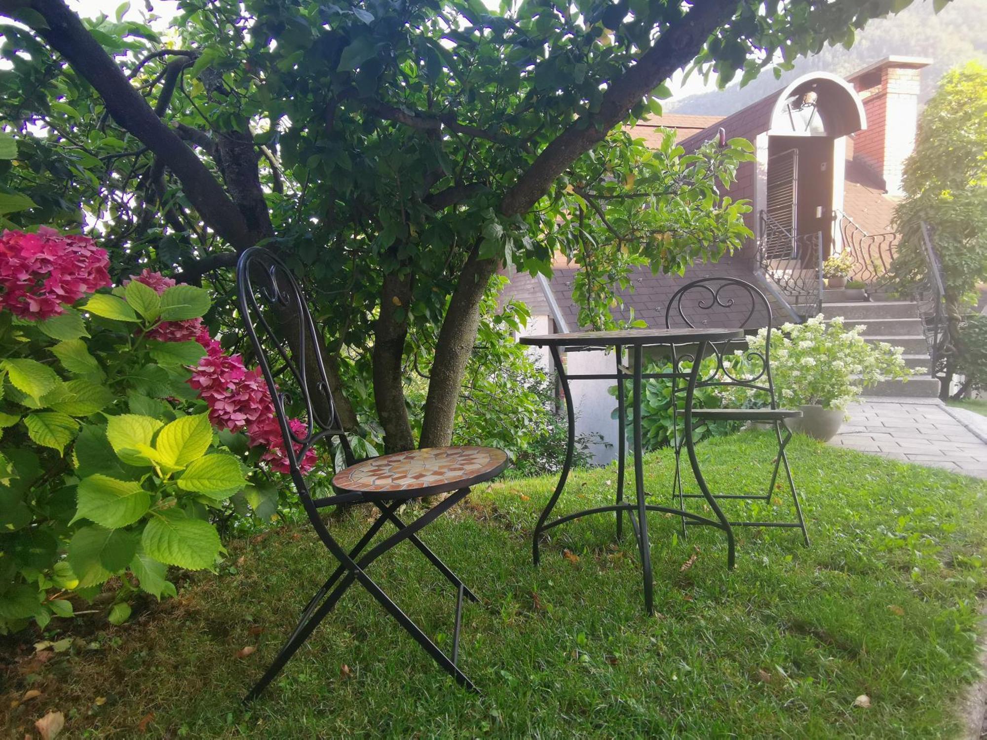 Apartmaji Mak Jesenice Buitenkant foto